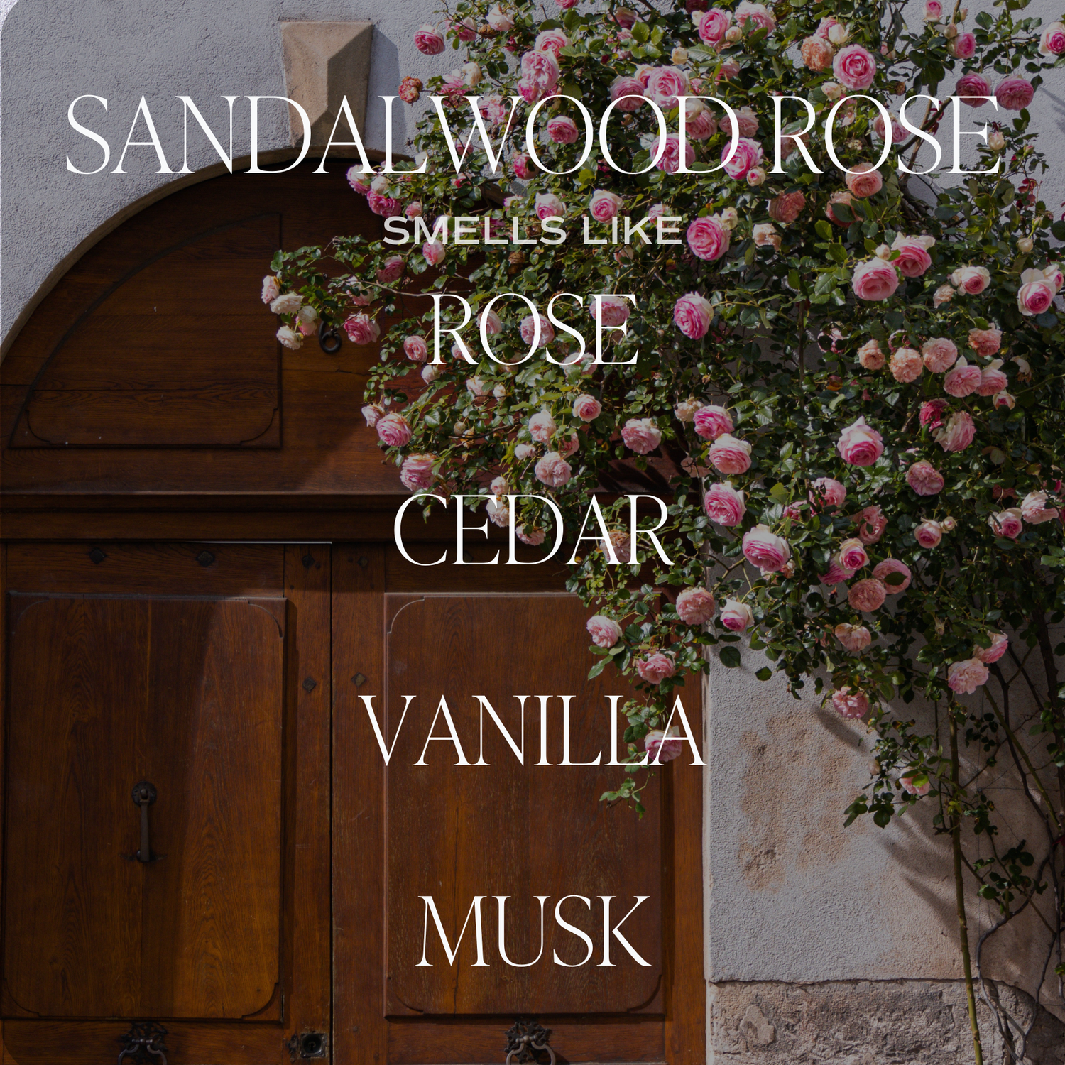 Sandalwood Rose Reed Diffuser - Gifts &amp; Home Decor