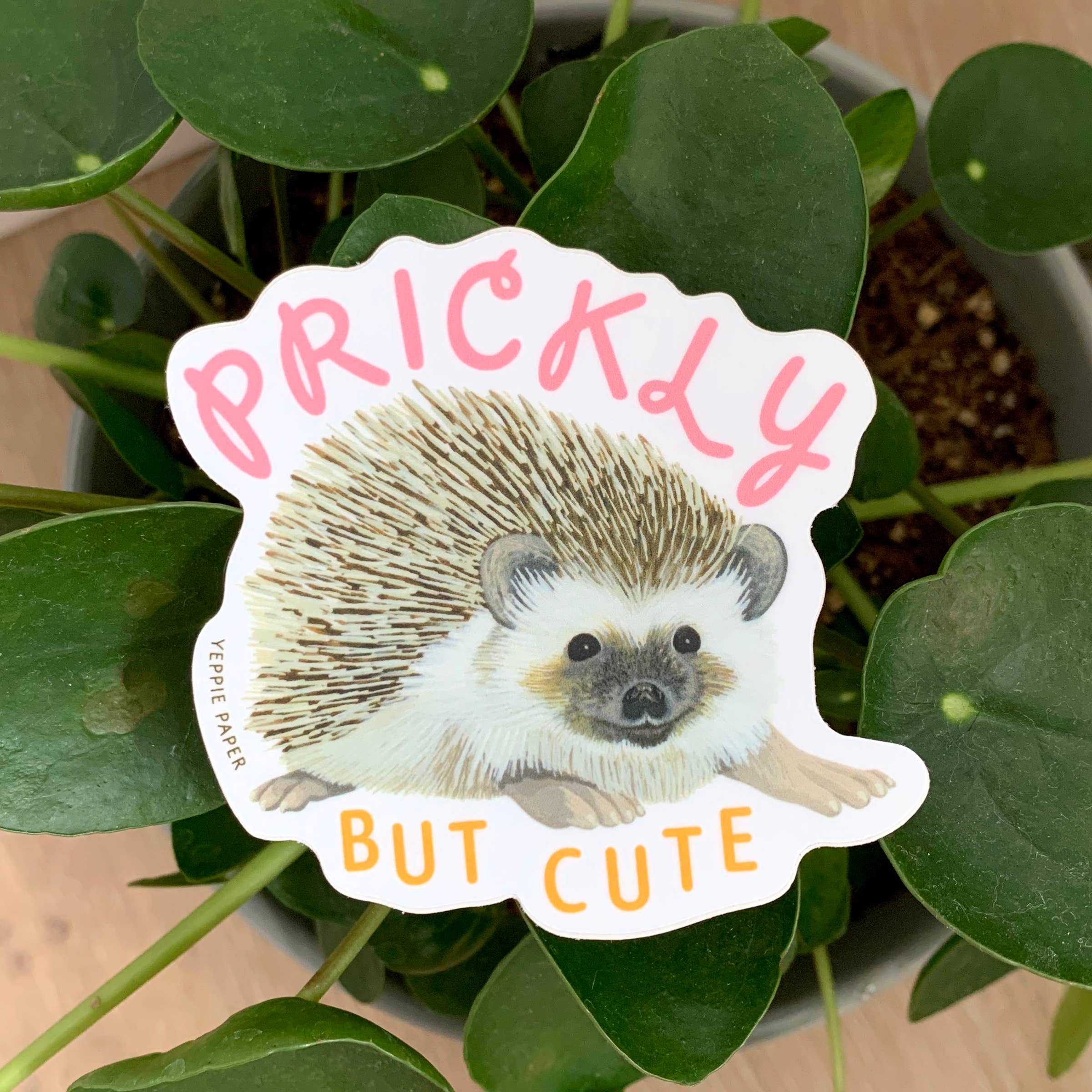 Prickly Hedgehog Sticker